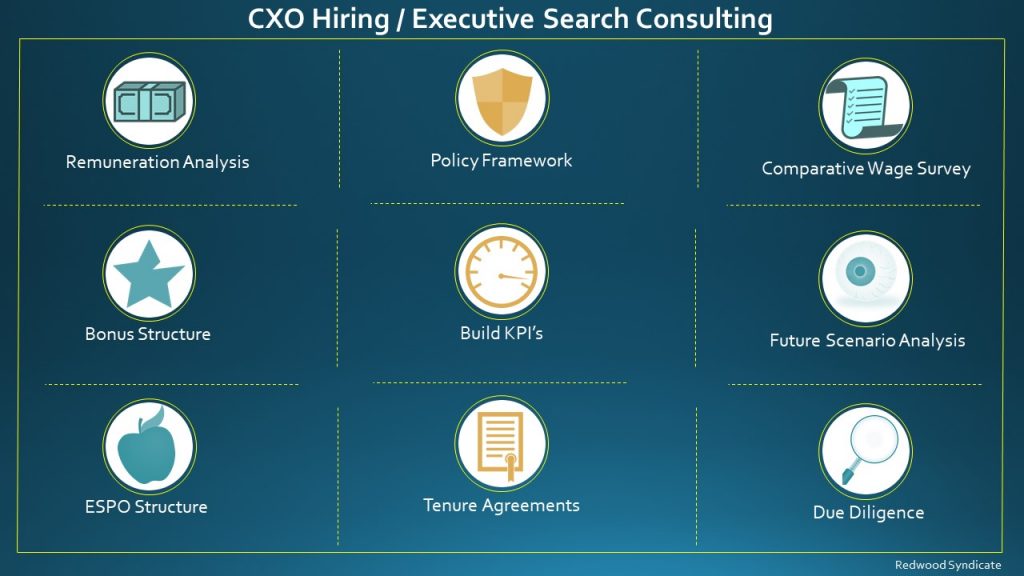 CXO Hiring / Executive Search Consulting
